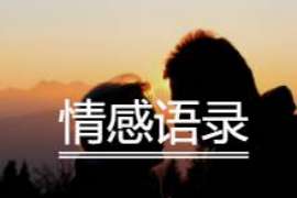 乐东侦探事务所,严格保密的婚外情调查专家